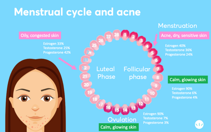 Acne and mestrual cycle